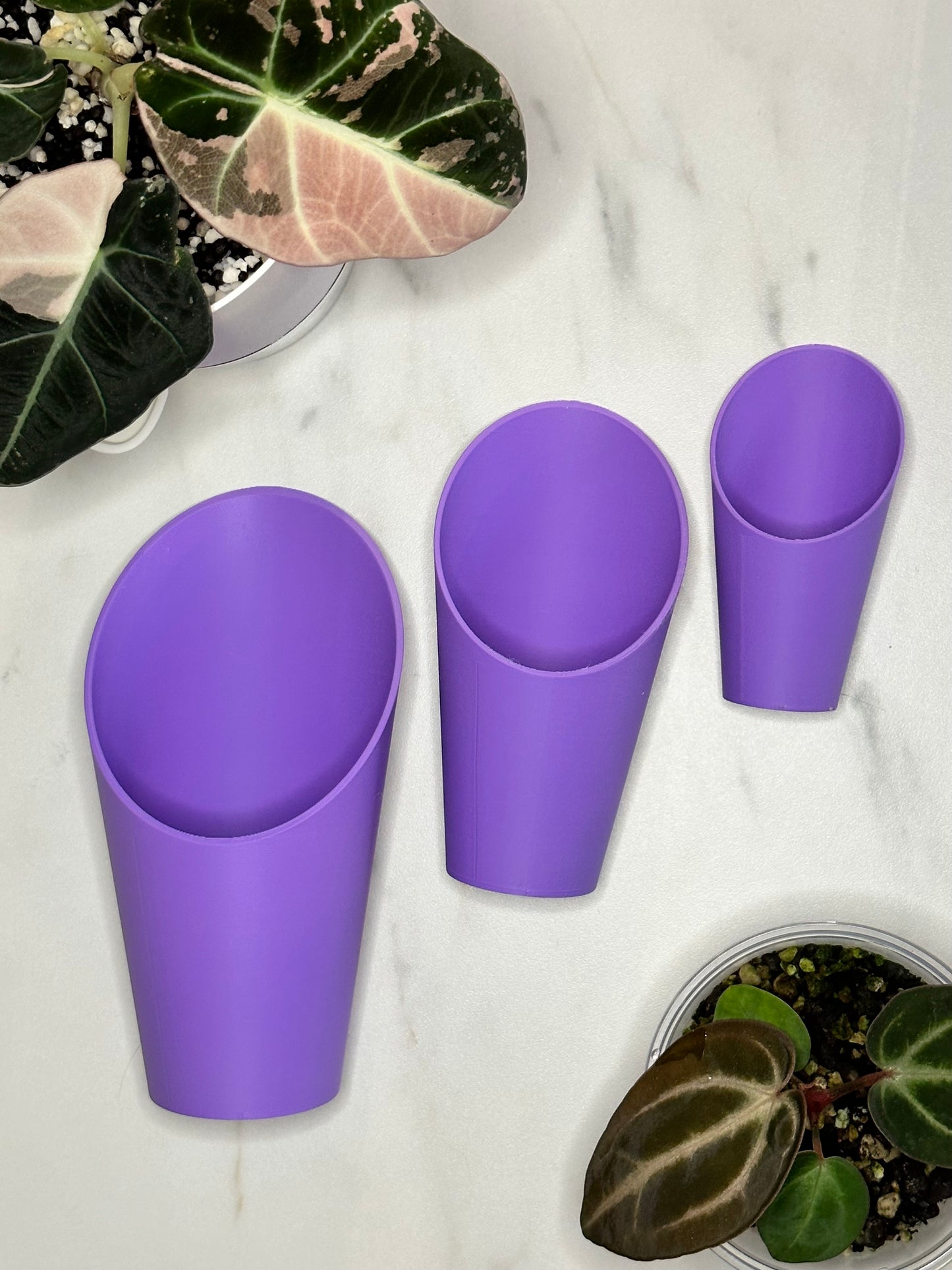 Plant Scoops - Sample Set